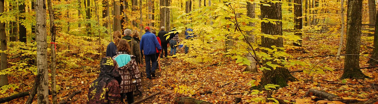 People hiking