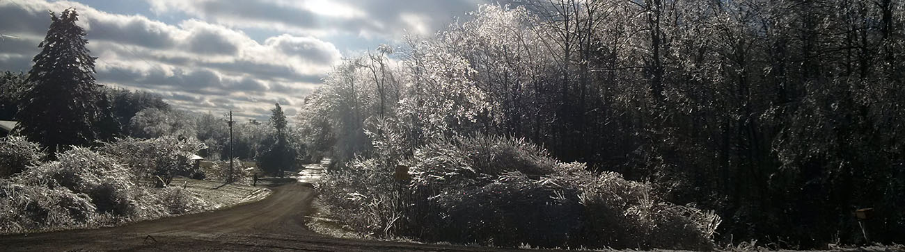 Roadway after the ice Storm
