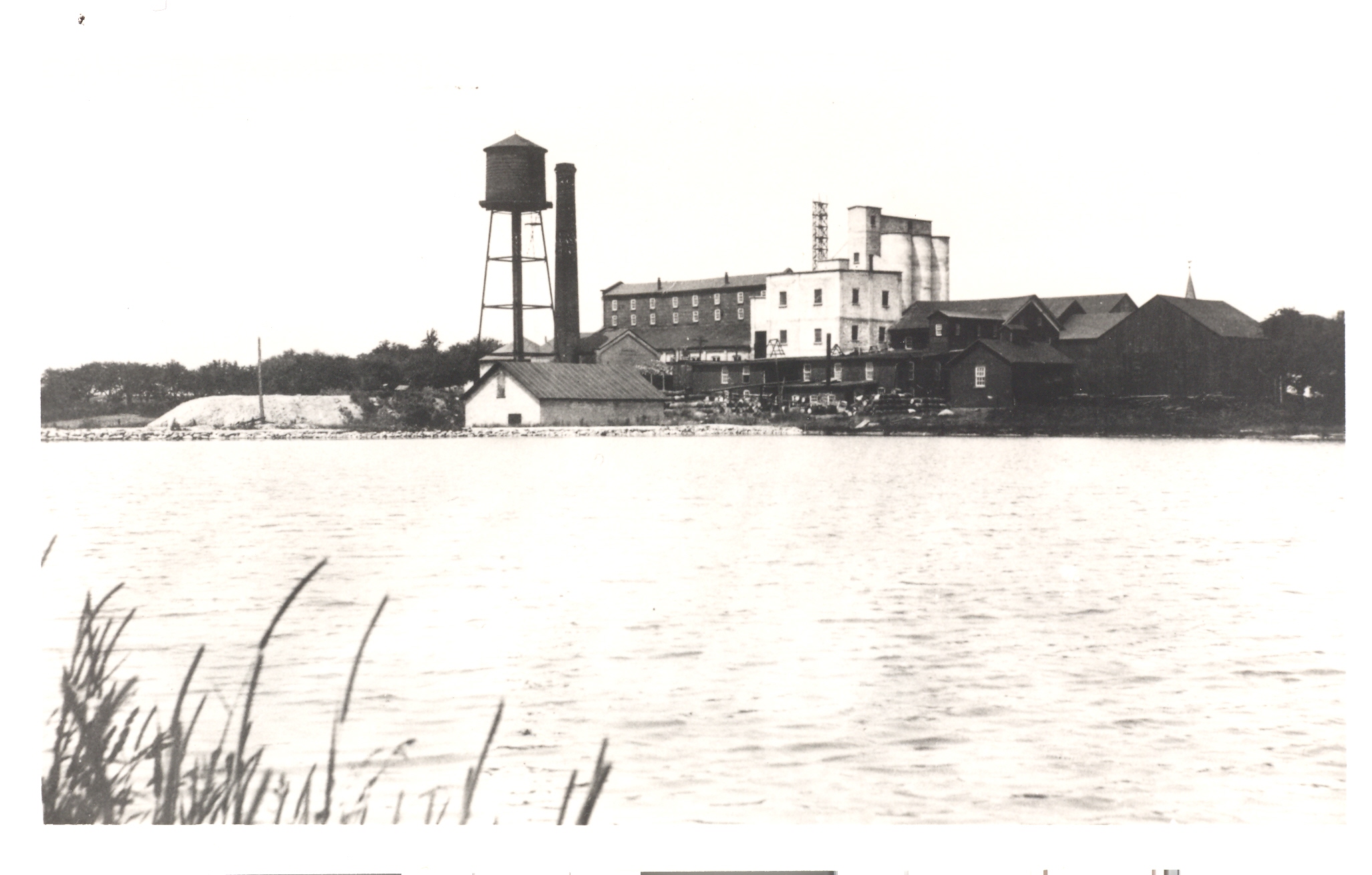 Linseed oil mill