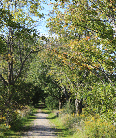 Christner Trail