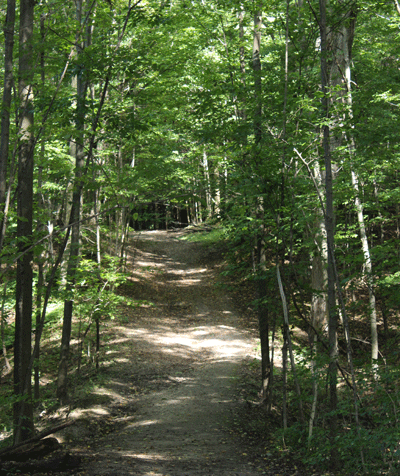 Petersburg Crown Lands