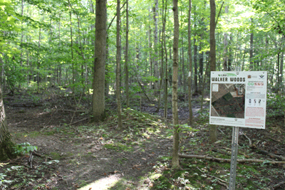 walker woods trail