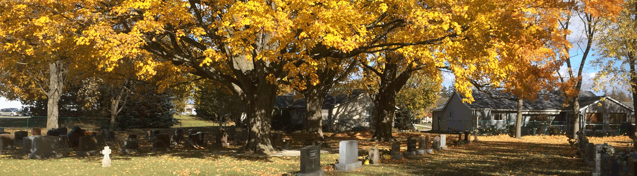 Riverside Cemetery in the Fall of the Year