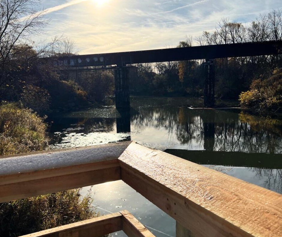 View of train bridge from the wetlands boardwalk.