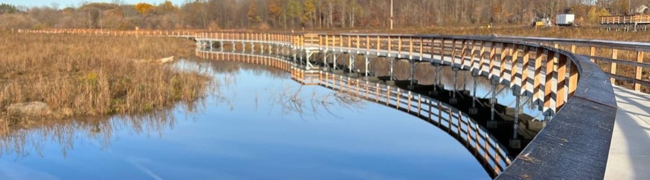 View of the wetlands and the boardwalk trail on a sunny day.