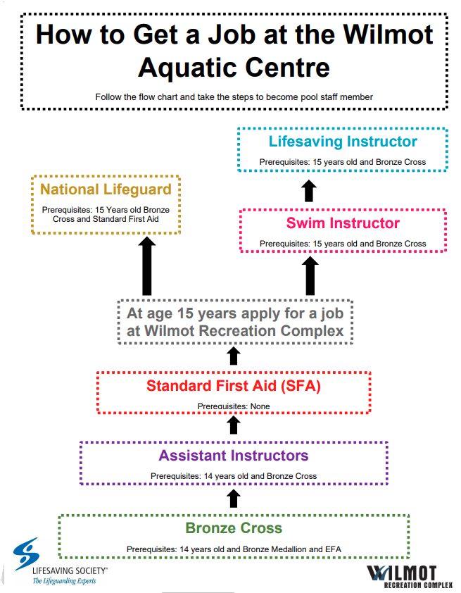 Flow chart showing how to get a job at the Wilmot Aquatic Centre