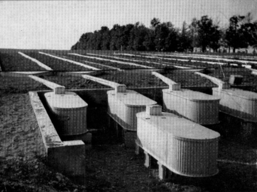 Separated fields with runoff tanks