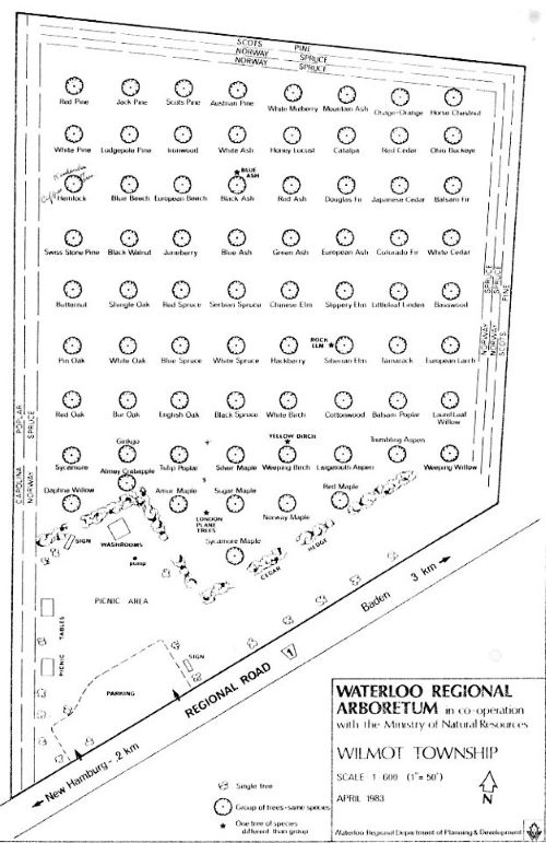 1983 map of trees in arboretum